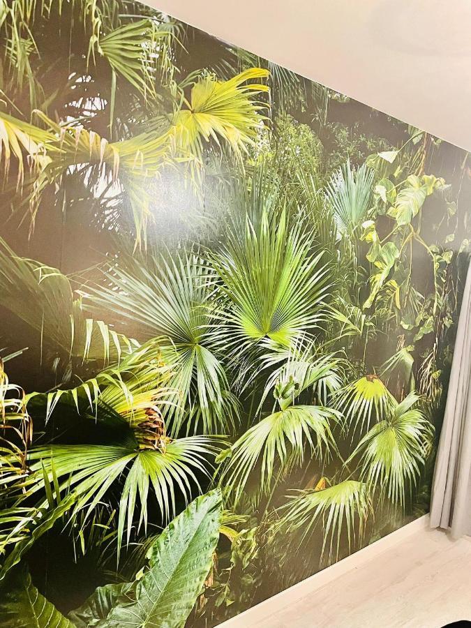 La Saveur Tropicale-Proche Centre Ville-Aeroport بوفيه المظهر الخارجي الصورة